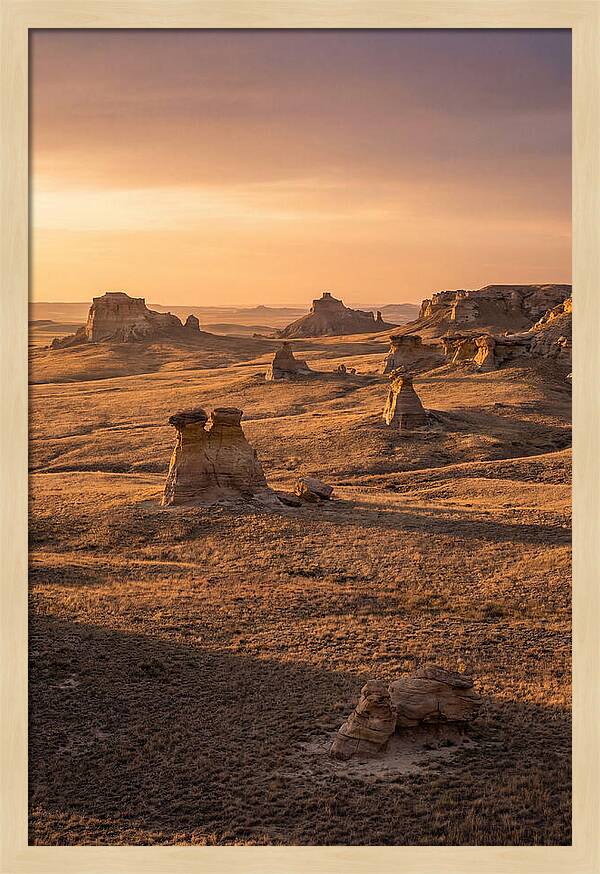 Cimarron Grasslands Serenity