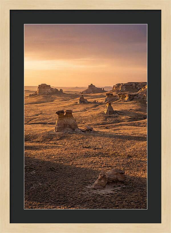 Cimarron Grasslands Serenity