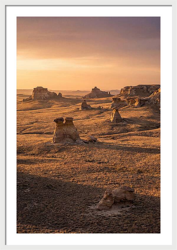 Cimarron Grasslands Serenity