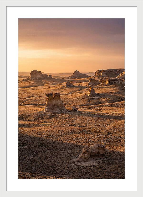 Cimarron Grasslands Serenity