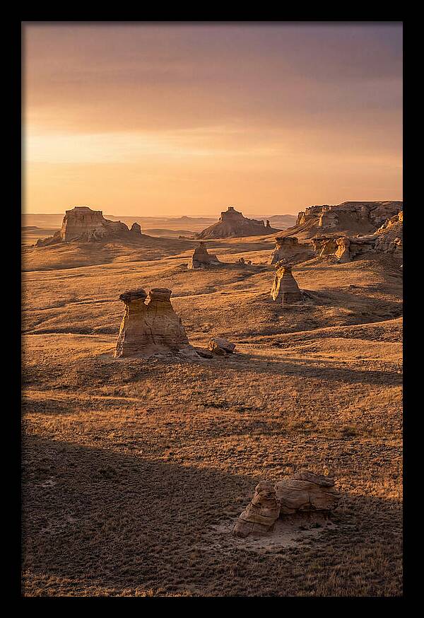 Cimarron Grasslands Serenity