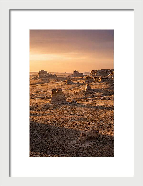 Cimarron Grasslands Serenity