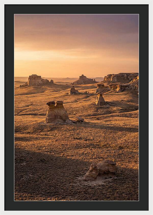 Cimarron Grasslands Serenity