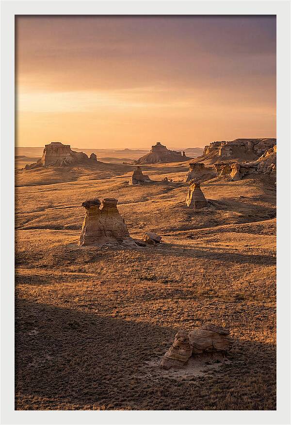 Cimarron Grasslands Serenity