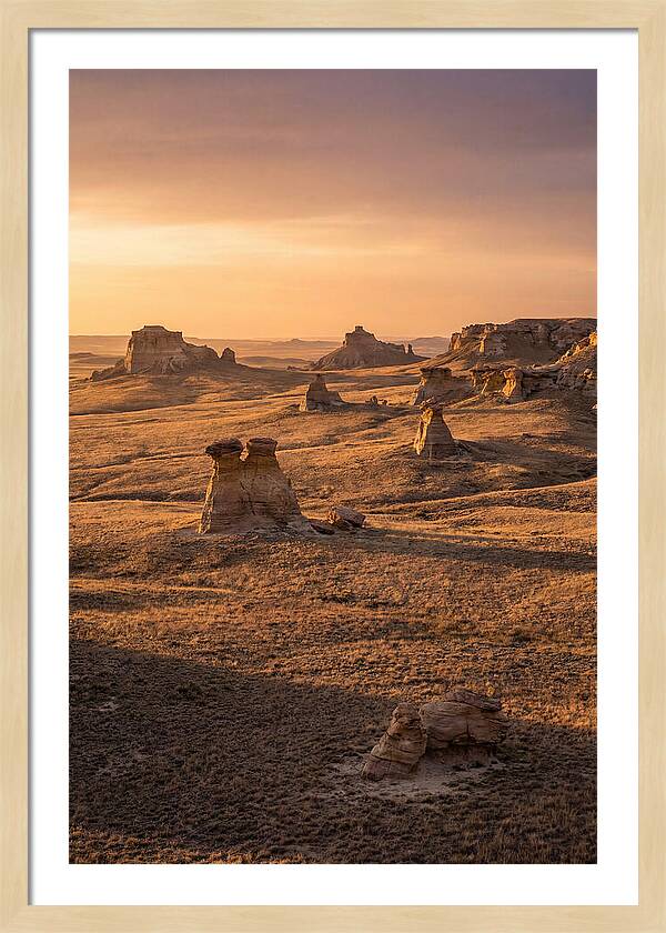 Cimarron Grasslands Serenity