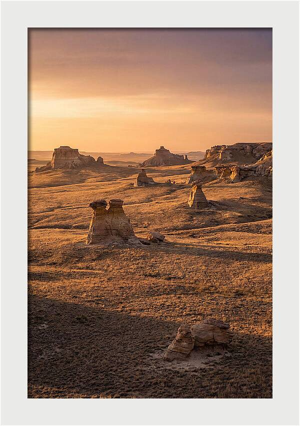 Cimarron Grasslands Serenity