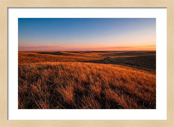 Cimarron Grasslands Tranquility