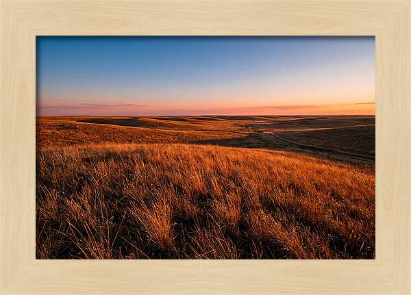 Cimarron Grasslands Tranquility