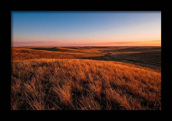 Cimarron Grasslands Tranquility