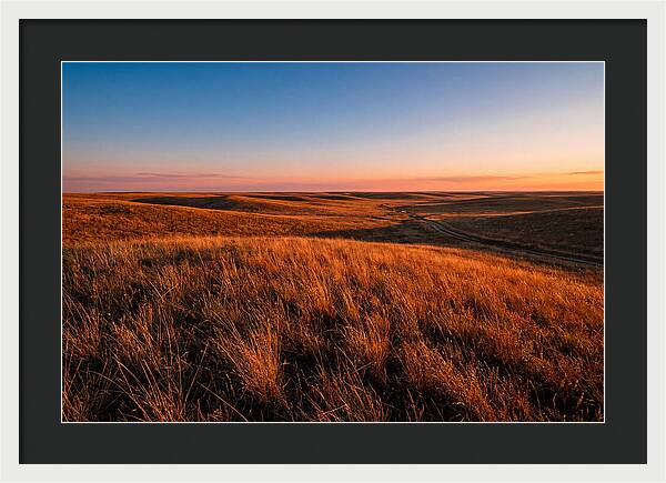 Cimarron Grasslands Tranquility