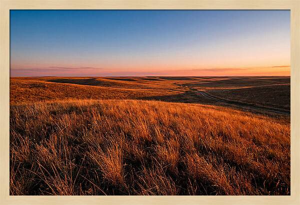 Cimarron Grasslands Tranquility