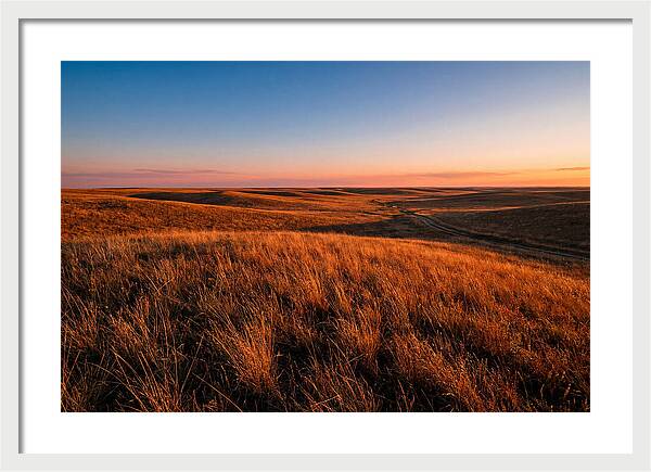 Cimarron Grasslands Tranquility