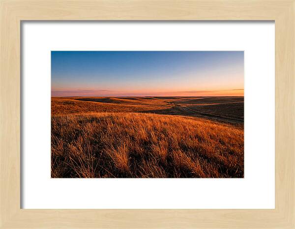 Cimarron Grasslands Tranquility