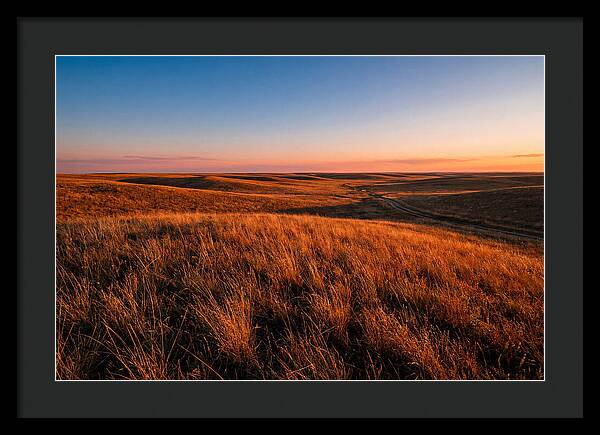 Cimarron Grasslands Tranquility