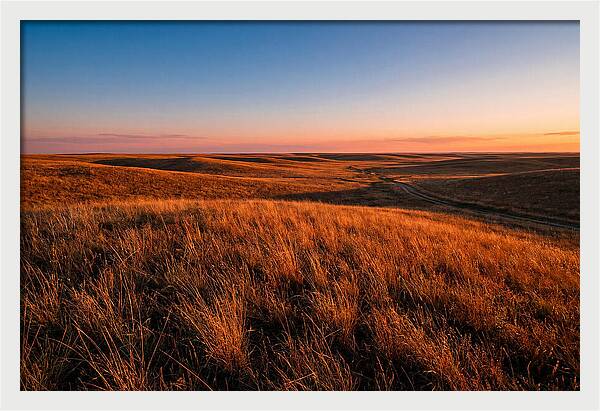 Cimarron Grasslands Tranquility