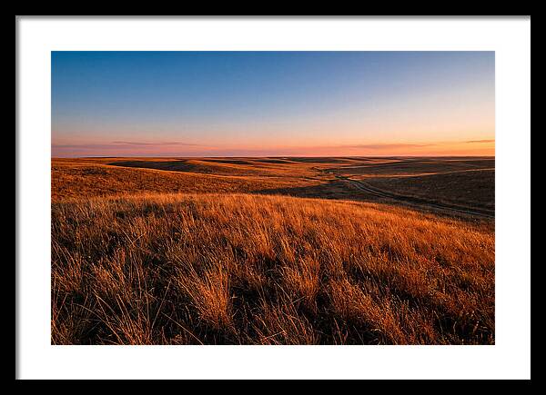 Cimarron Grasslands Tranquility