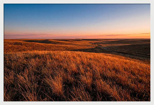 Cimarron Grasslands Tranquility