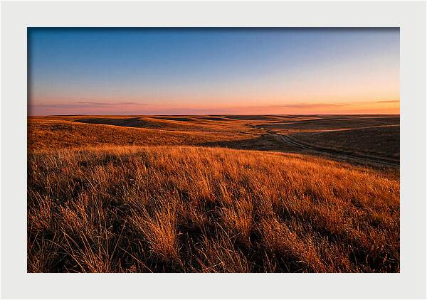 Cimarron Grasslands Tranquility