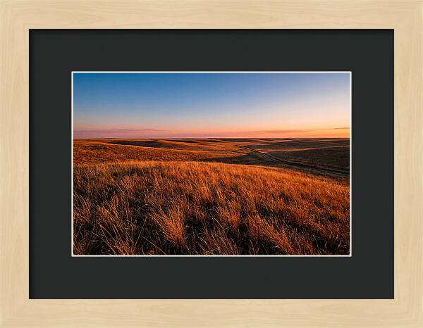 Cimarron Grasslands Tranquility