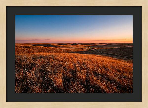 Cimarron Grasslands Tranquility