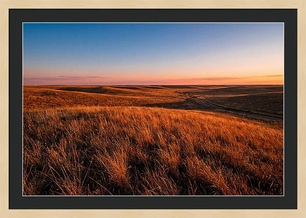 Cimarron Grasslands Tranquility