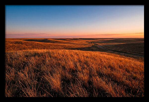 Cimarron Grasslands Tranquility