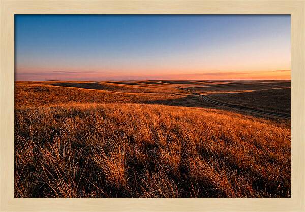 Cimarron Grasslands Tranquility