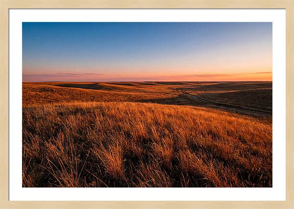 Cimarron Grasslands Tranquility