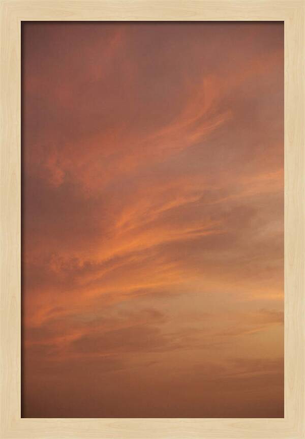 Cirrus Clouds Painted Gold