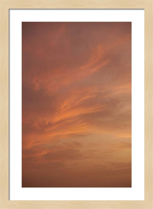 Cirrus Clouds Painted Gold