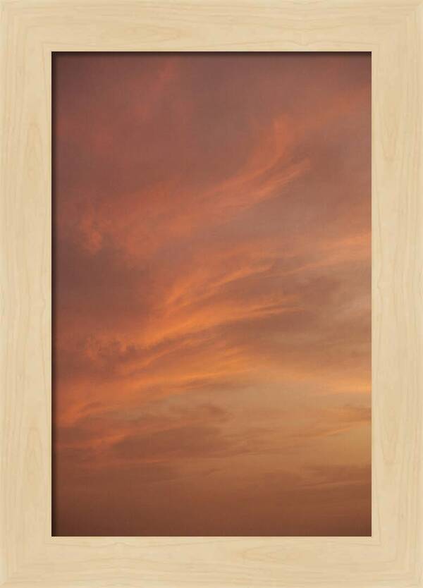 Cirrus Clouds Painted Gold
