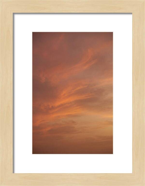 Cirrus Clouds Painted Gold