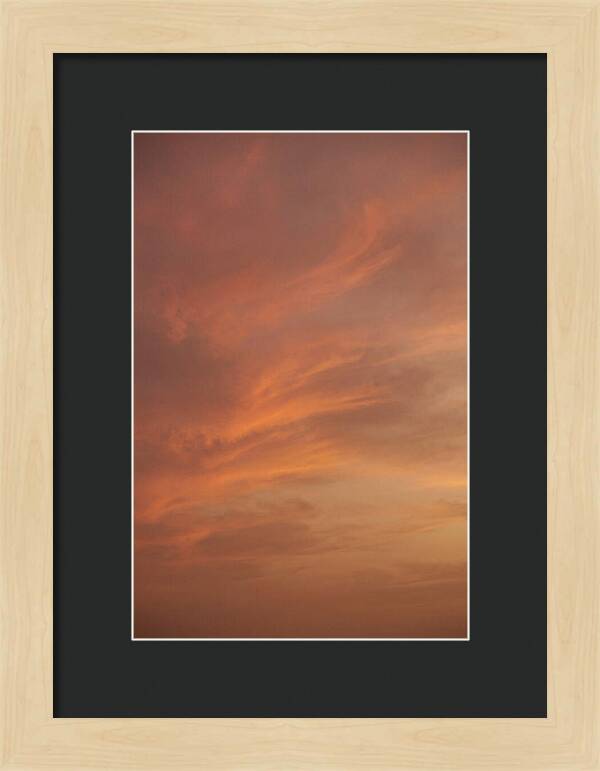 Cirrus Clouds Painted Gold