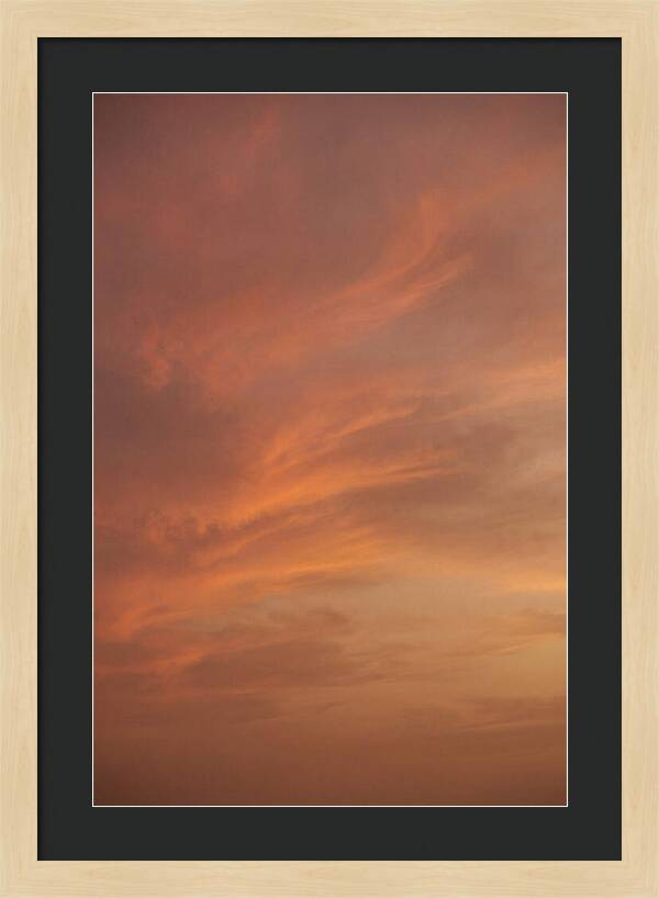 Cirrus Clouds Painted Gold