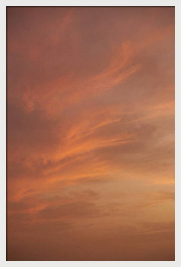 Cirrus Clouds Painted Gold