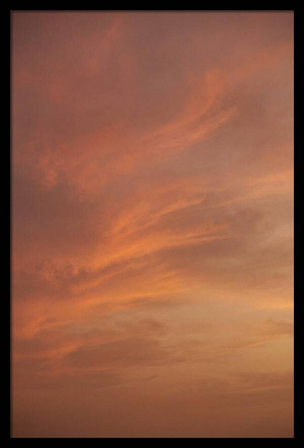 Cirrus Clouds Painted Gold