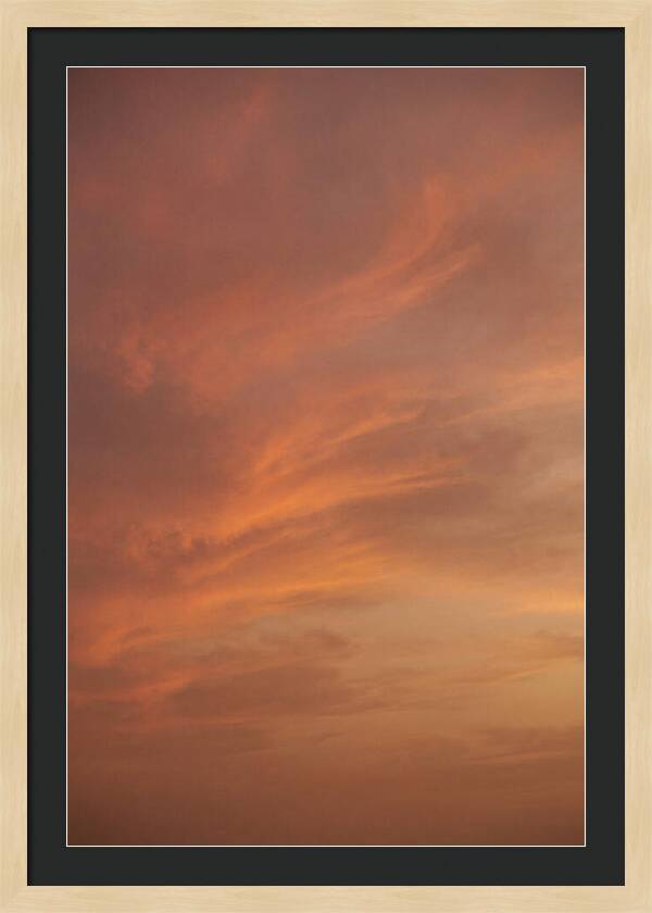 Cirrus Clouds Painted Gold