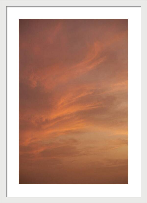 Cirrus Clouds Painted Gold