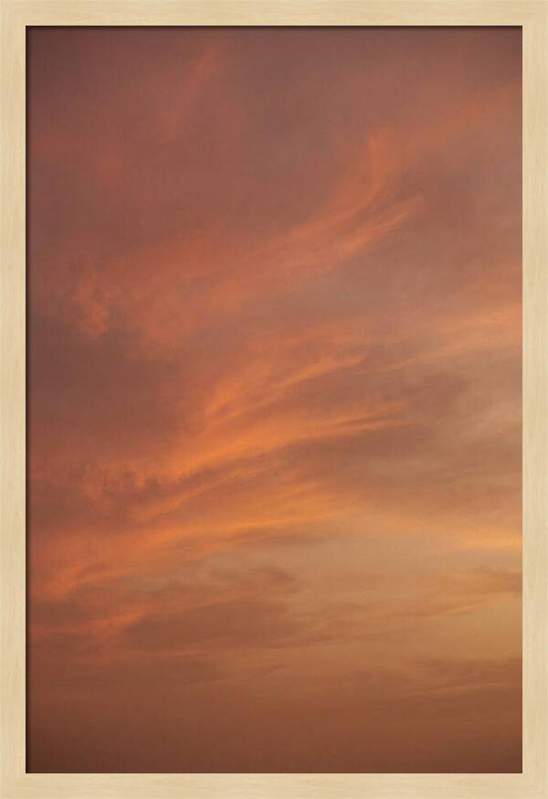Cirrus Clouds Painted Gold