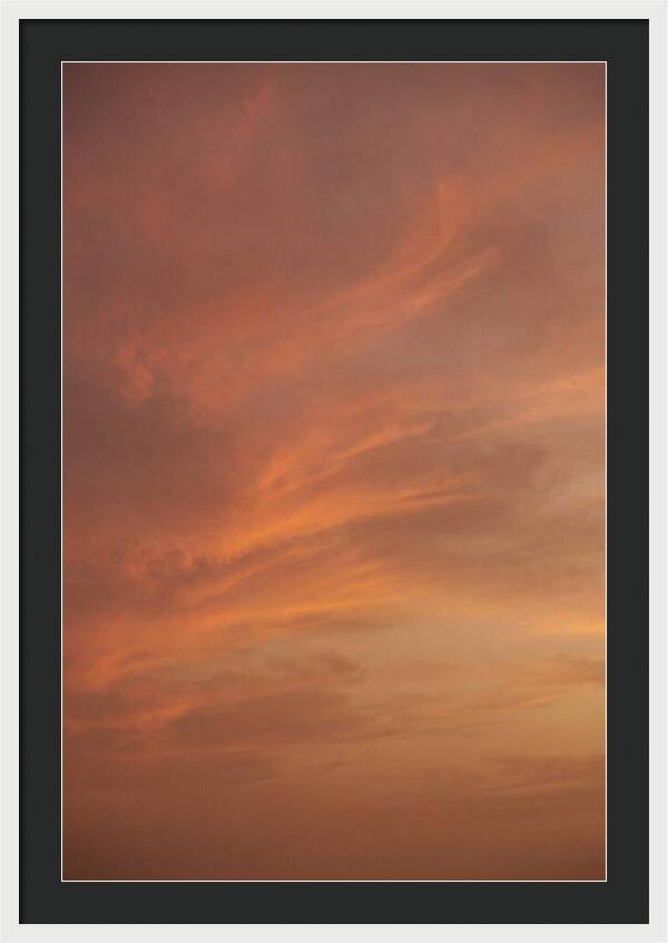 Cirrus Clouds Painted Gold