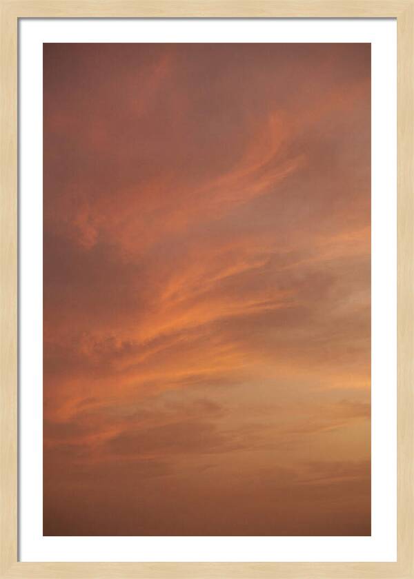 Cirrus Clouds Painted Gold