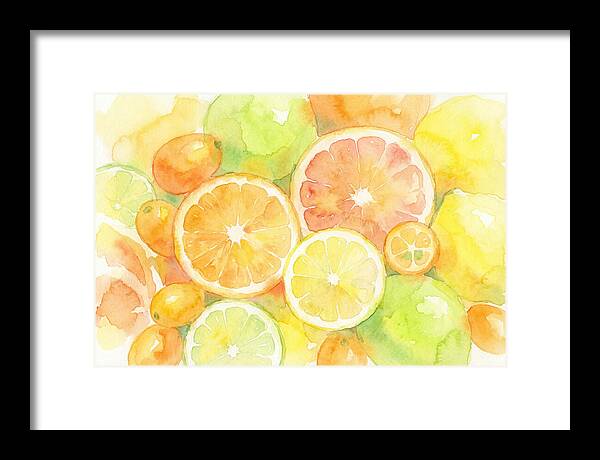 Citrus Fruit Medley