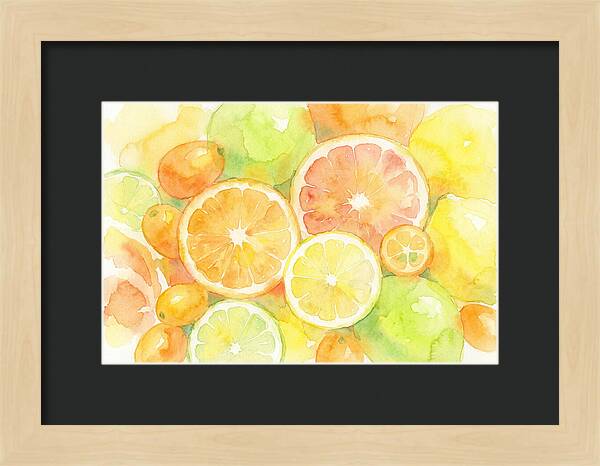 Citrus Fruit Medley