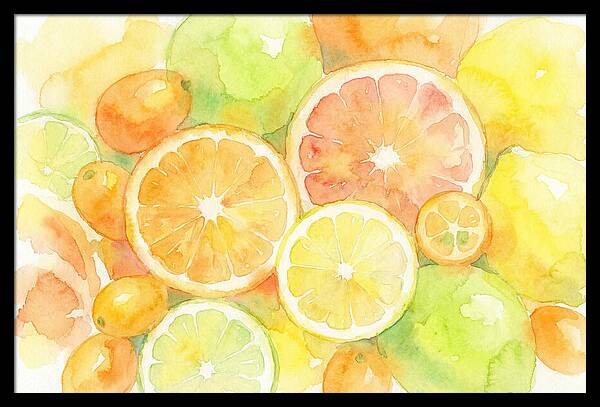 Citrus Fruit Medley