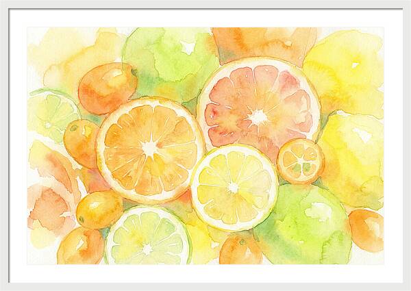 Citrus Fruit Medley