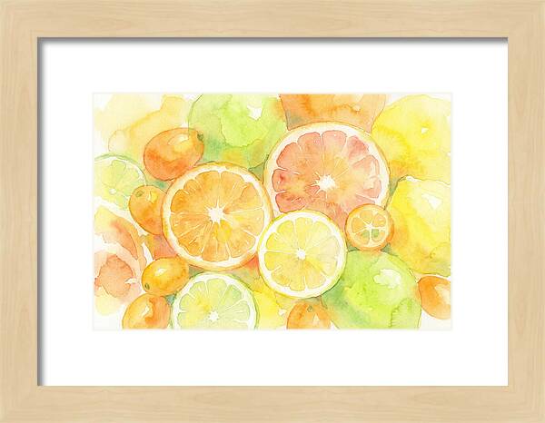 Citrus Fruit Medley
