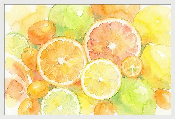 Citrus Fruit Medley