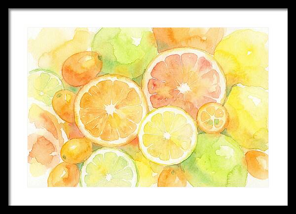 Citrus Fruit Medley