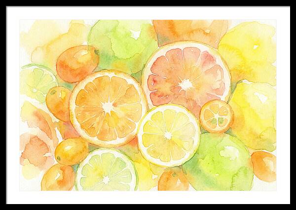 Citrus Fruit Medley