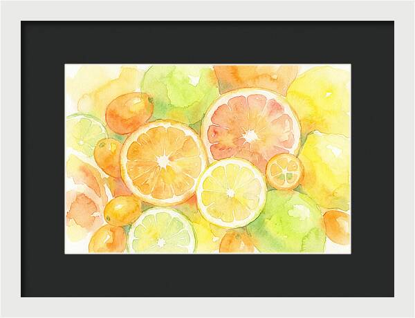 Citrus Fruit Medley